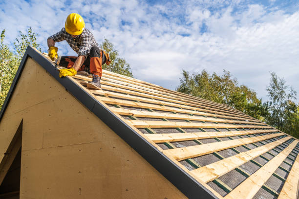 Roof Gutter Cleaning in Wasilla, AK